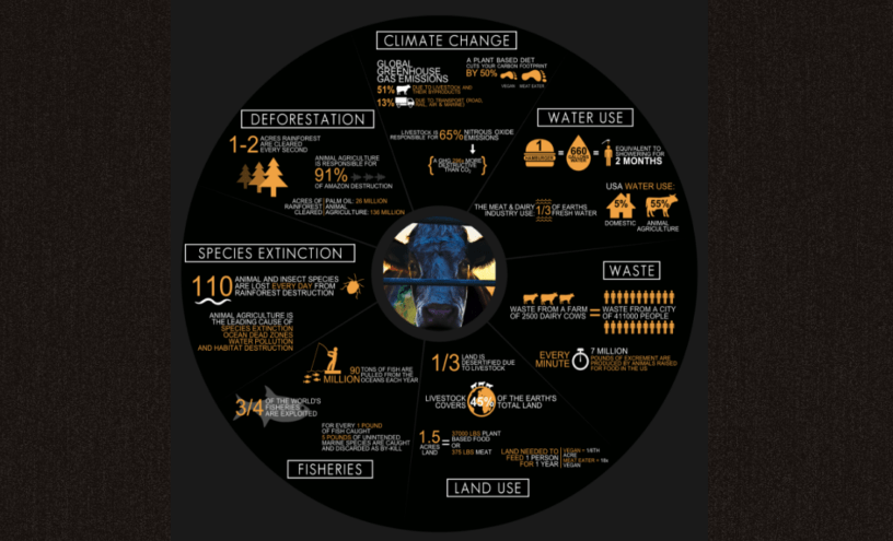 Cowspiracy infographic