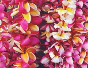 Lei making