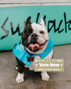 Vote Surfjack USA Today Best Pet-Friendly Hotel 2025 banner